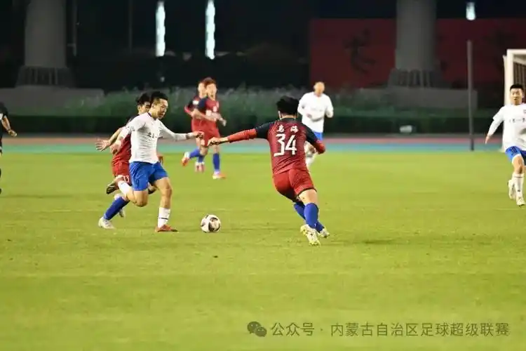 国产伦理片免费看